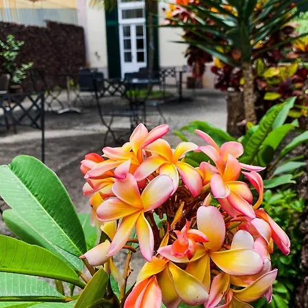 Gasthuis Aspa - Alegria Funchal (Madeira)