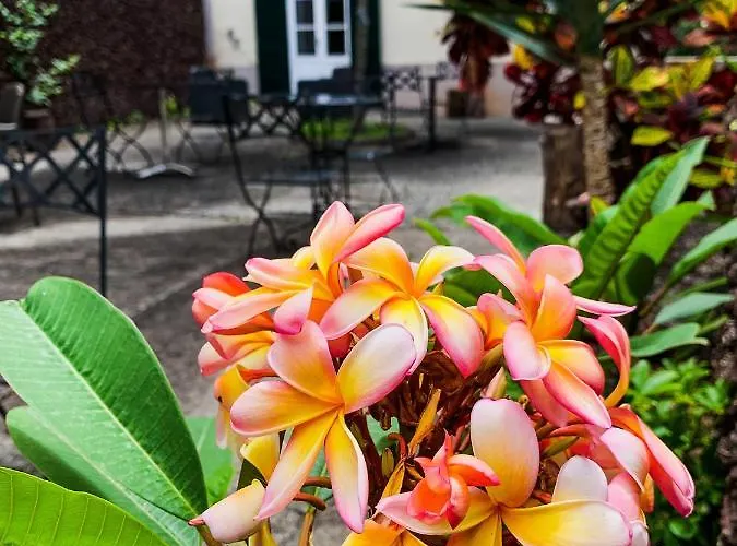 Guest house Aspa - Alegria Funchal (Madeira)