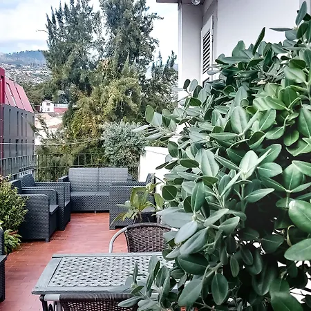 Affittacamere Aspa - Alegria 3*