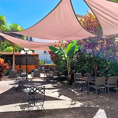 Aspa - Alegria Pensjonat Funchal (Madeira)